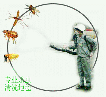 ຼ๫˾ṩרҵĺɱɱȷ